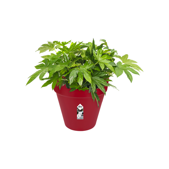 loft urban rond wielen 50cm veenbes rood